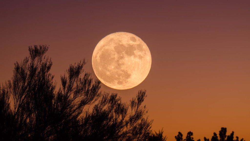 Moon as in ICEs shot for Bakkt