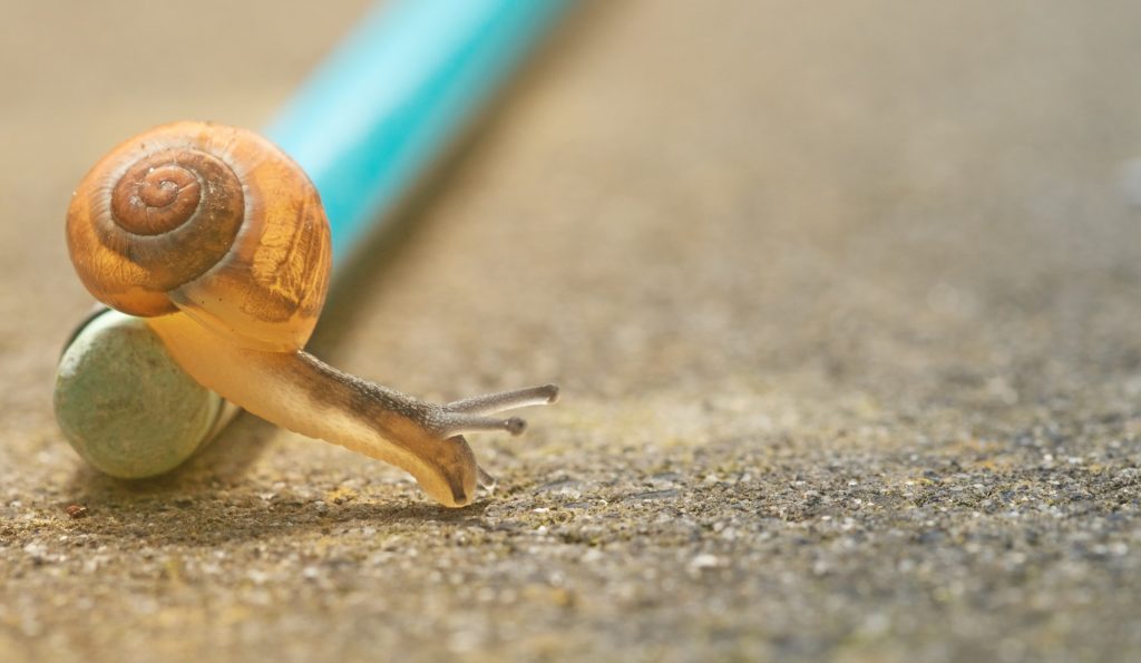 Slow progress in blockchain says McKinsey